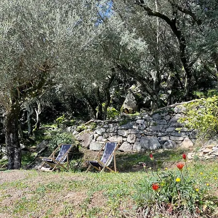 Maison Avec Vue Imprenable Olmeto (Corsica)