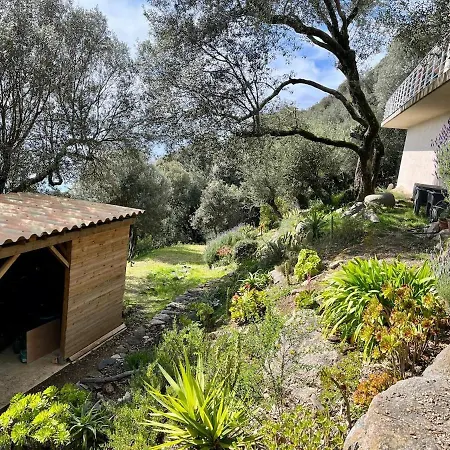 Villa Maison Avec Vue Imprenable Olmeto (Corsica)