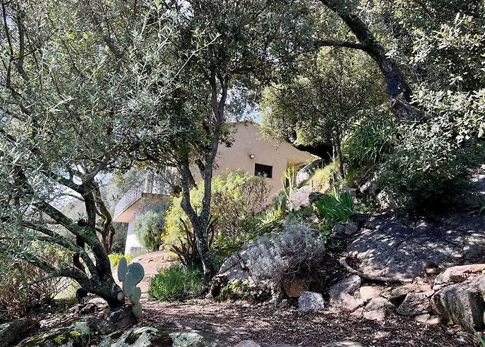 Maison Avec Vue Imprenable Olmeto (Corsica)